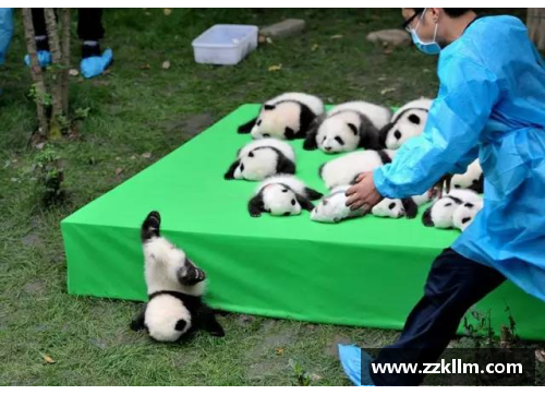 熊猫体育儿童自身的发展观受到哪些管理方法的影响？