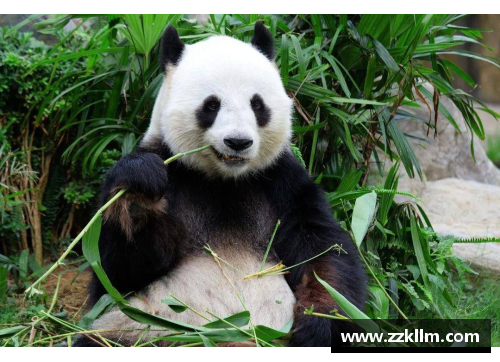 熊猫体育50款夏季清凉穿搭,清爽时尚轻松战胜惶惶盛夏 - 副本