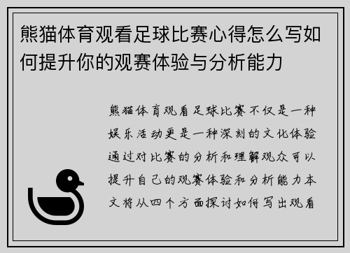 熊猫体育观看足球比赛心得怎么写如何提升你的观赛体验与分析能力