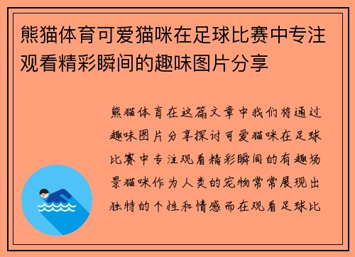 熊猫体育可爱猫咪在足球比赛中专注观看精彩瞬间的趣味图片分享