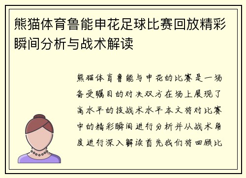 熊猫体育鲁能申花足球比赛回放精彩瞬间分析与战术解读